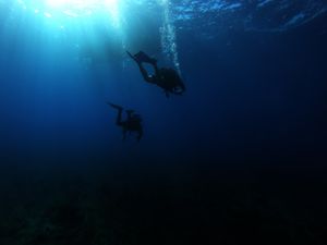 Deep in the sea: underwater photo of person diving